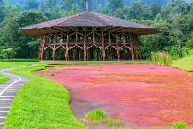 Les incontournables : des Andes aux Caraïbes - 14 jours