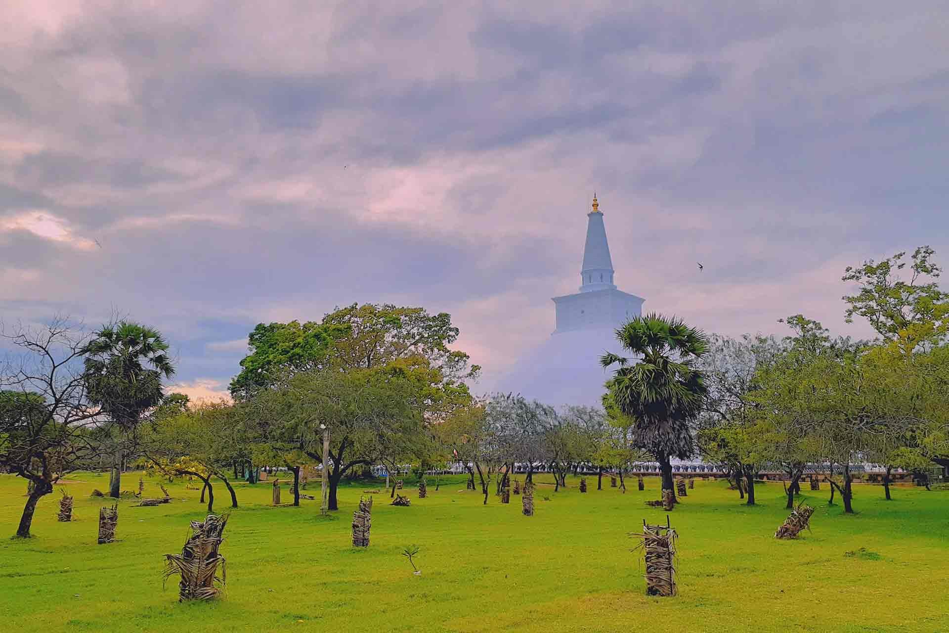 Sri Lanka: 50 tinten groen - Negombo naar Yapahuwa en Anuradhapura (4 u) - Negombo a Yapahuwa et Anuradhapura (4 h)