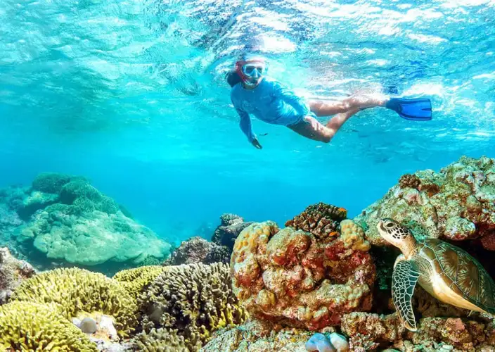 7 giorni di esplorazione dalle dune di sabbia di Wahiba alle dune di zucchero di Khaluf in Oman - Esplora l'isola Dimaniyat con snorkeling (in condivisione) - Foto del giorno
