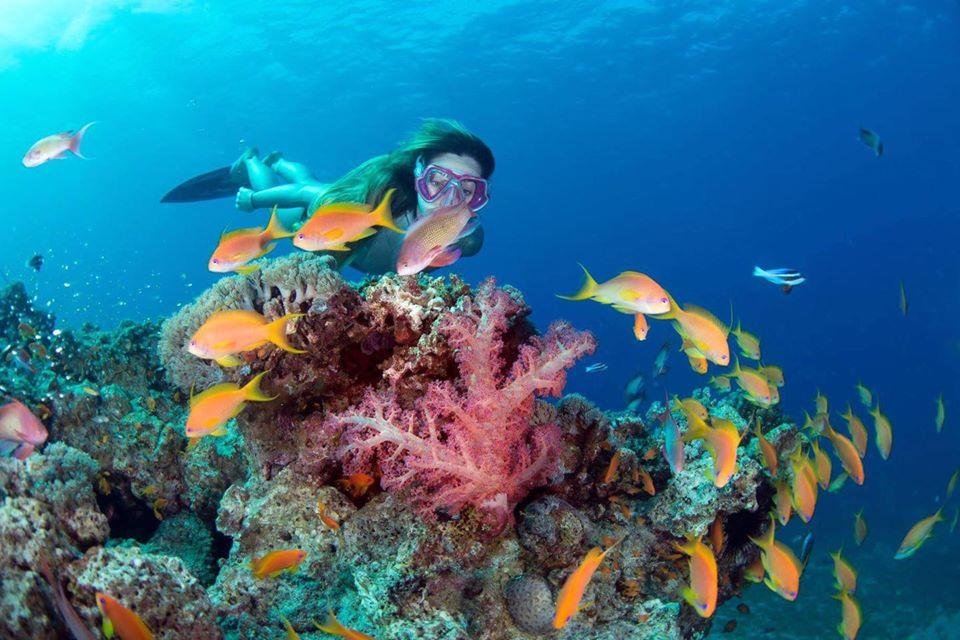 Lawrence da Arábia - RUM / AQABA / MAR MORTO - fe2ce7150fef8fb102c80a8d3ca7a497