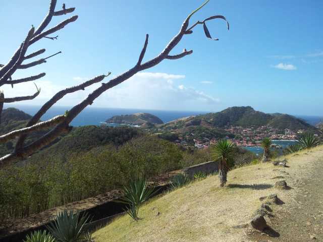 Combinato Guadalupa e Martinica