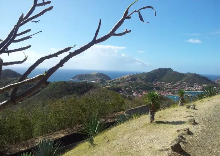 Combiné Guadeloupe et Martinique - Guadeloupe - Photo du jour