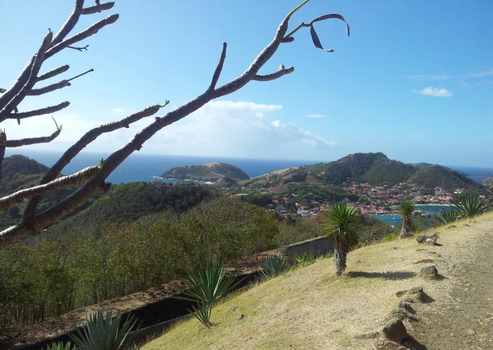 Combinato Guadalupa e Martinica - Guadalupa - Foto del giorno
