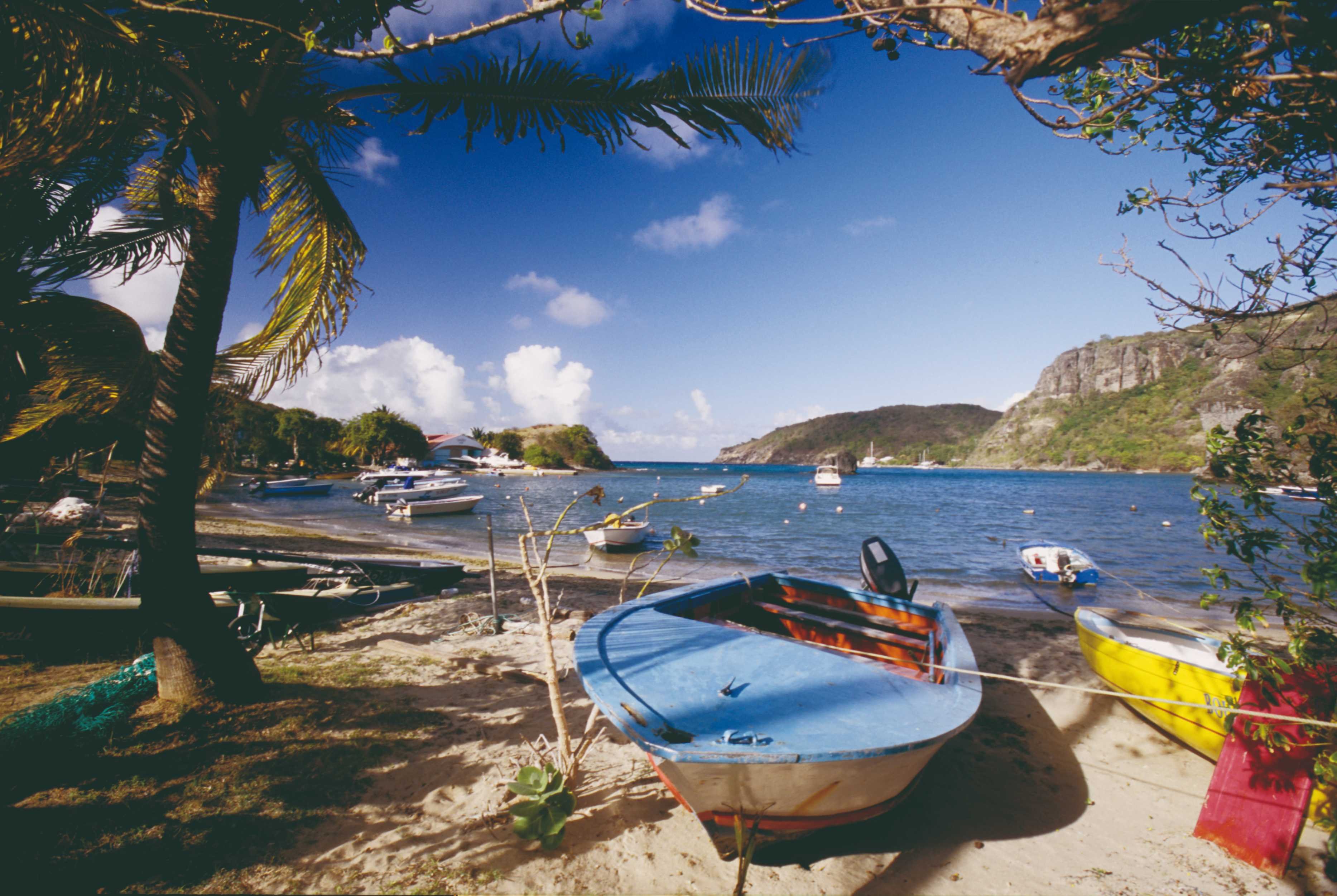 Guadeloupe : Découverte du Papillon en 11 j - Kayak à Malendure et parc des Mamelles - Kayak à Malendure et Parc des Mamelles