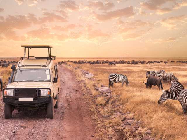 Safari de 3 jours : Serengeti & cratère du Ngorongoro (Expérience Big Five)