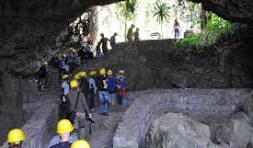 Trekking de gorilles de 3 jours – Parc National des Volcans - Visitez le marché de Musanze, les grottes et le mémorial Dian Fossey - Photo du jour