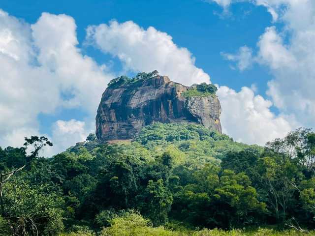 Ongewone ontmoetingen in het land van het groene goud