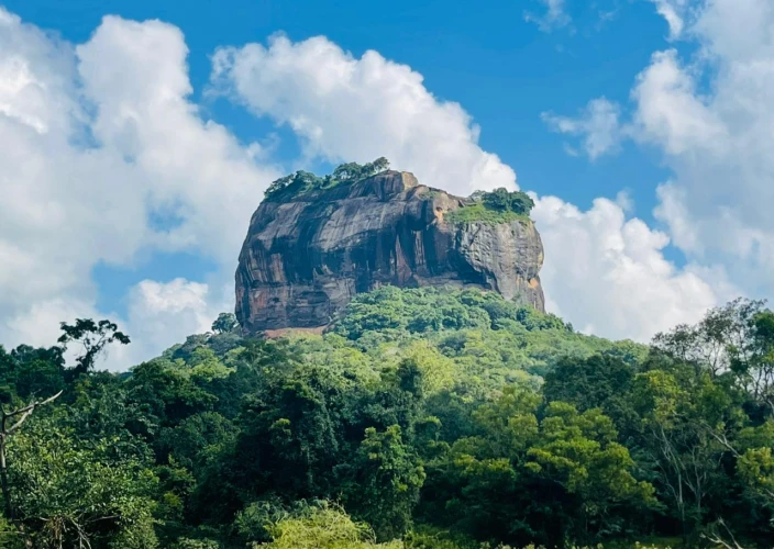 Rencontres insolites au pays de l’or vert - Les perles du Triangle Culturel - Photo du jour