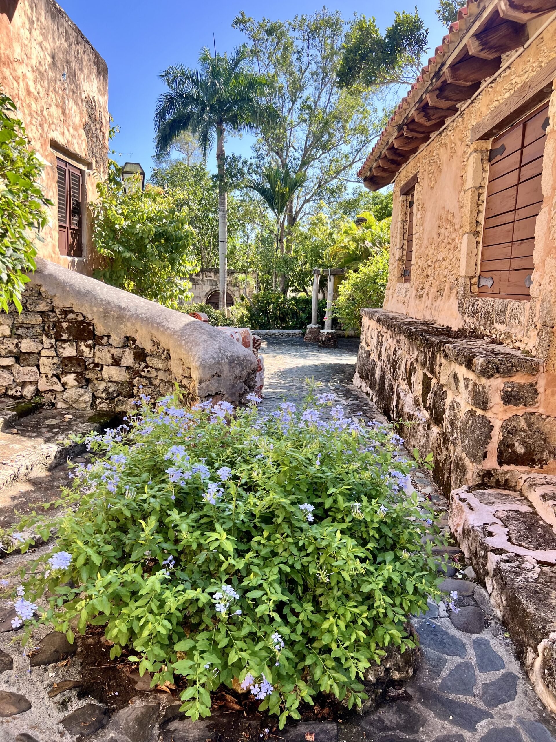 Bayahibe et Los Haitises - Choisissez votre expérience : Catalina ou La Romana & Altos de Chavón - Photo du jour