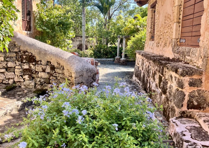 Bayahibe und Los Haitises - Wählen Sie Ihr Erlebnis: Catalina oder La Romana & Altos de Chavón - Tagesfoto