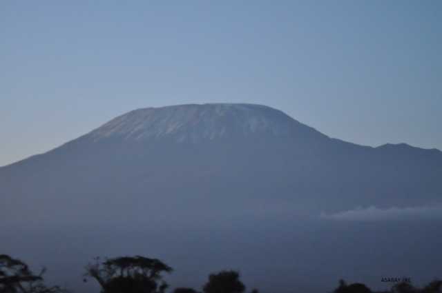 Kenya Swahili Heritage, Mombasa and Amboseli Safari