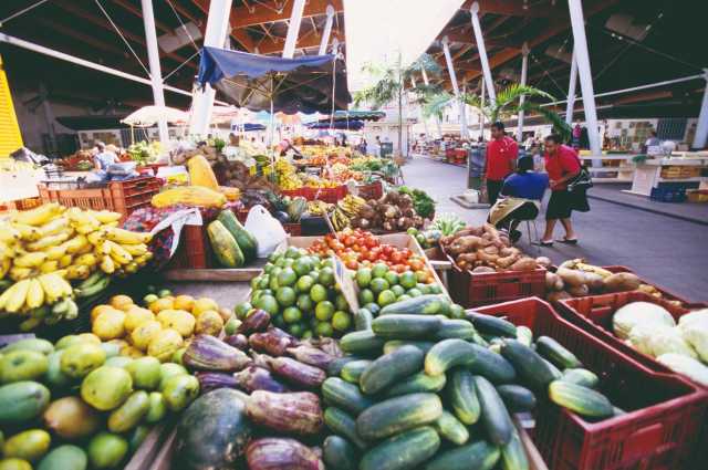 Guadeloupe: Ontdekking van de Vlinder in 11 d