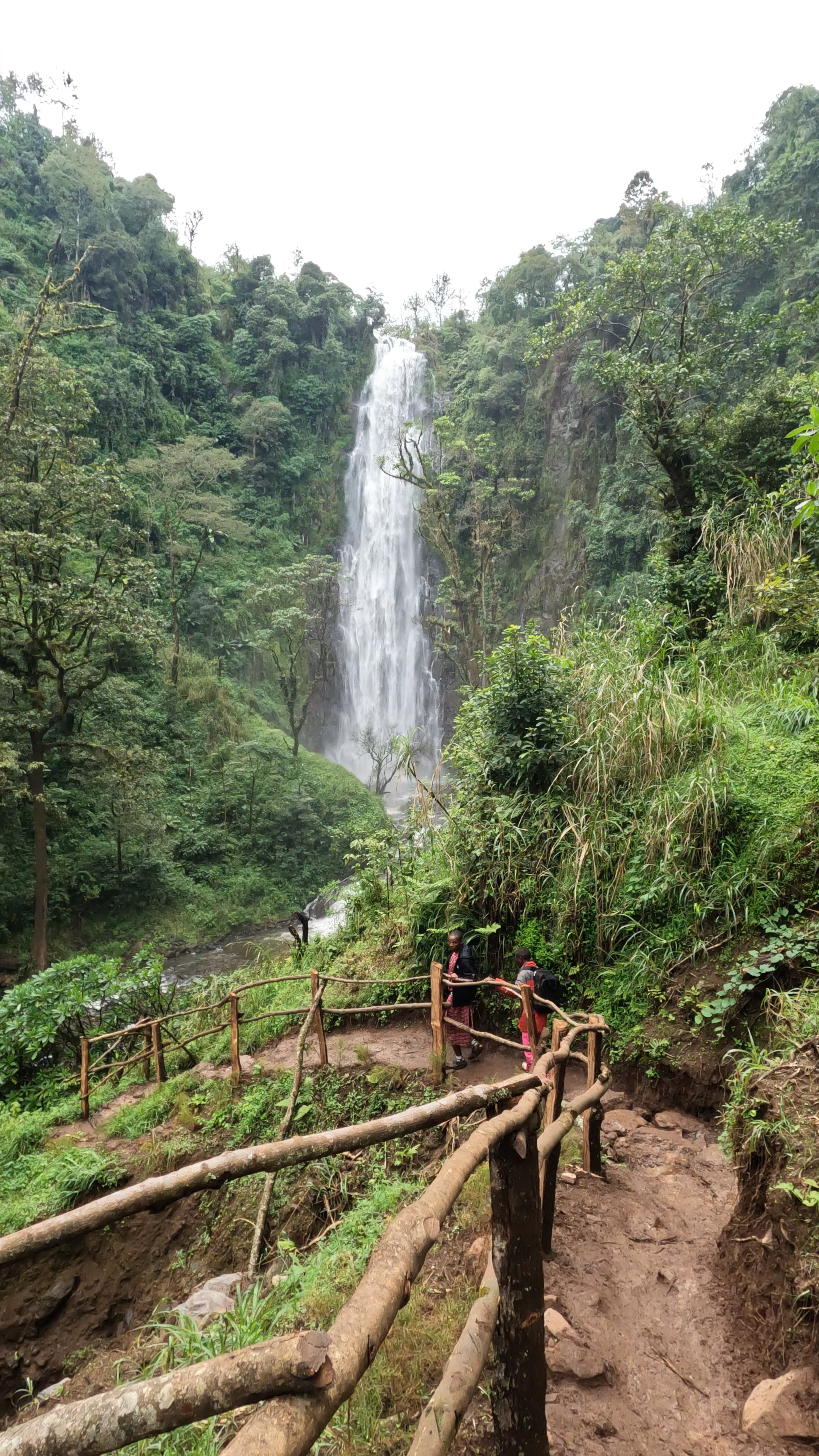 La Tanzanie autrement : safari et expériences locales - Aventure à Materuni et détente aux sources chaudes de Chemka - Photo du jour