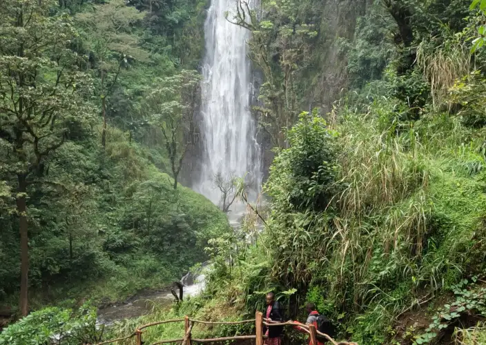 La Tanzanie autrement : safari et expériences locales - Aventure à Materuni et détente aux sources chaudes de Chemka - Photo of the day
