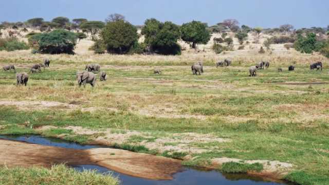 Explora los diversos paisajes y la vida silvestre de las joyas ocultas de Tanzania