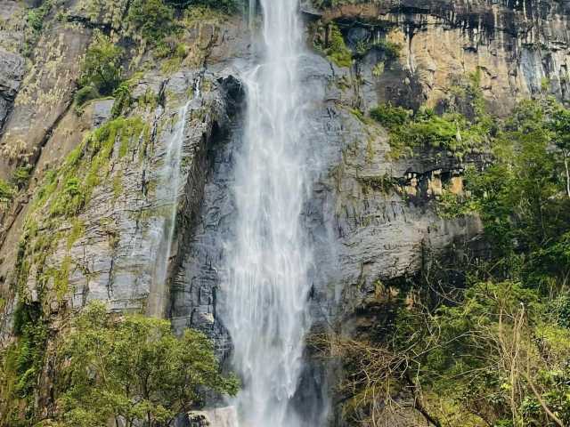 Tour Familiar Privado Kosher de 15 Dias no Sri Lanka: Natureza, Safari