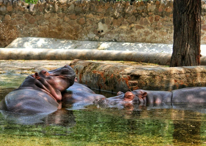 Playa y Sabana: La Experiencia Definitiva de Safari de 5 Días - Parque Nacional del Lago Manyara - Regreso a Arusha/Salida - lake manyara