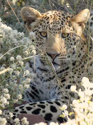 La esencia de Namibia