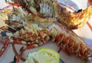 El Norte: de lo clásico a lo auténtico - Nosy Be (visita a la reserva de Lokobe) - Nosy Be (visite de la réserve de Lokobe)