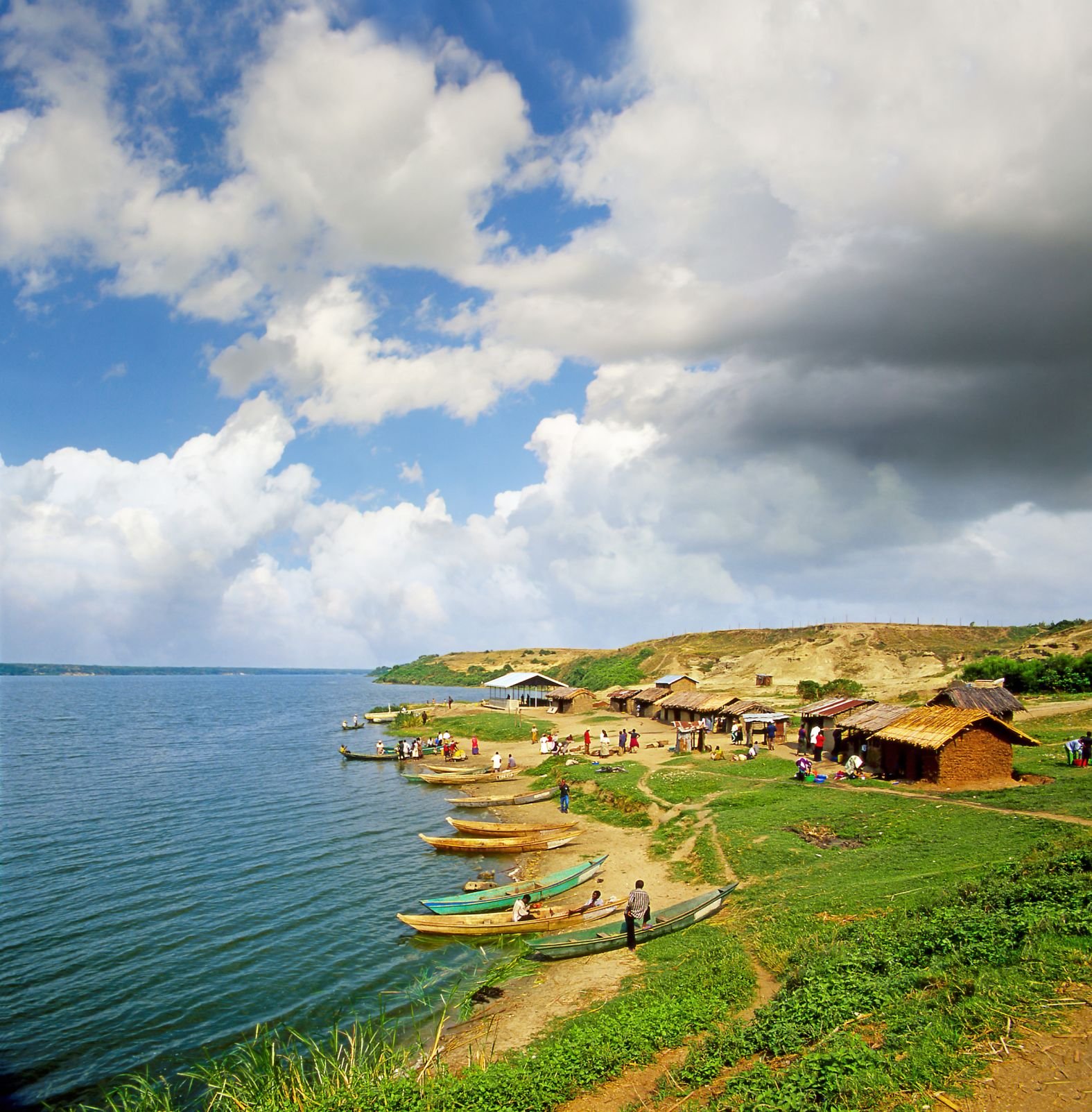 Estancia de 12 días en Ruanda y Uganda. - Visita de los animales en Ishasha y traslado al Parque Nacional Queen Elizabeth - Visite des animaux à Ishasha et transfert à Queen Elisabeth NP