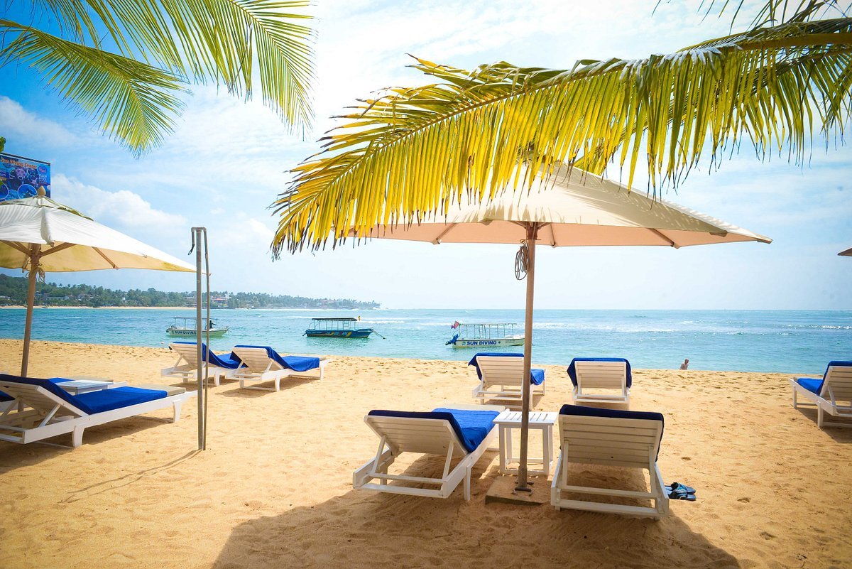 Il meglio dello Sri Lanka in 10 giorni | Edizione 2026 - Migliore Esperienza in Spiaggia: Viaggia a Unawatuna - Foto del giorno