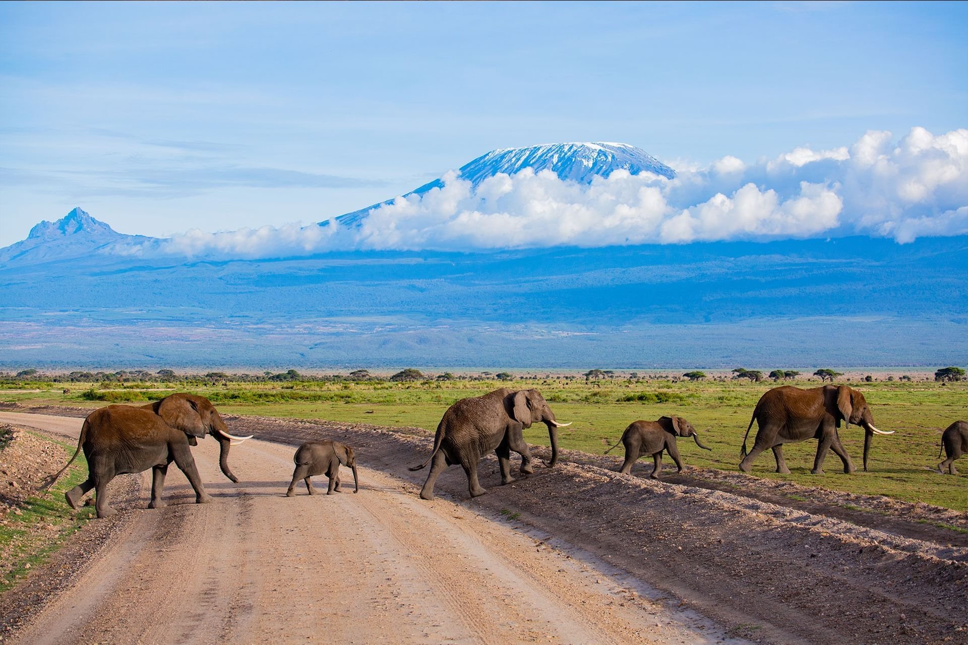 Kenya Swahili Heritage, Mombasa and Amboseli Safari - Full-Day Amboseli National Park - Photo of the day