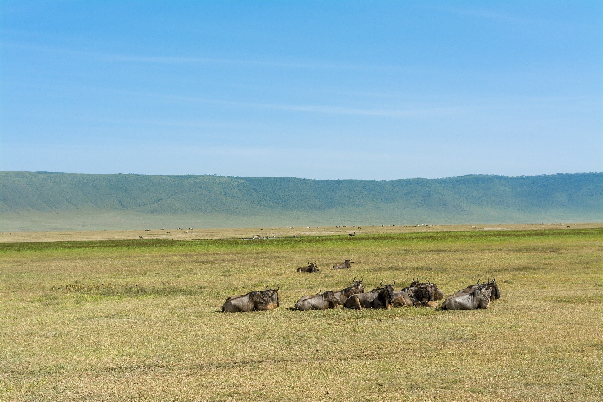 5 Tage Leben unter den Löwen - Mittelklasse - Serengeti - Ngorongoro-Krater - Stadt Mto Wa Mbu - Serengeti - Cratère du Ngorongoro - Ville de Mto Wa Mbu