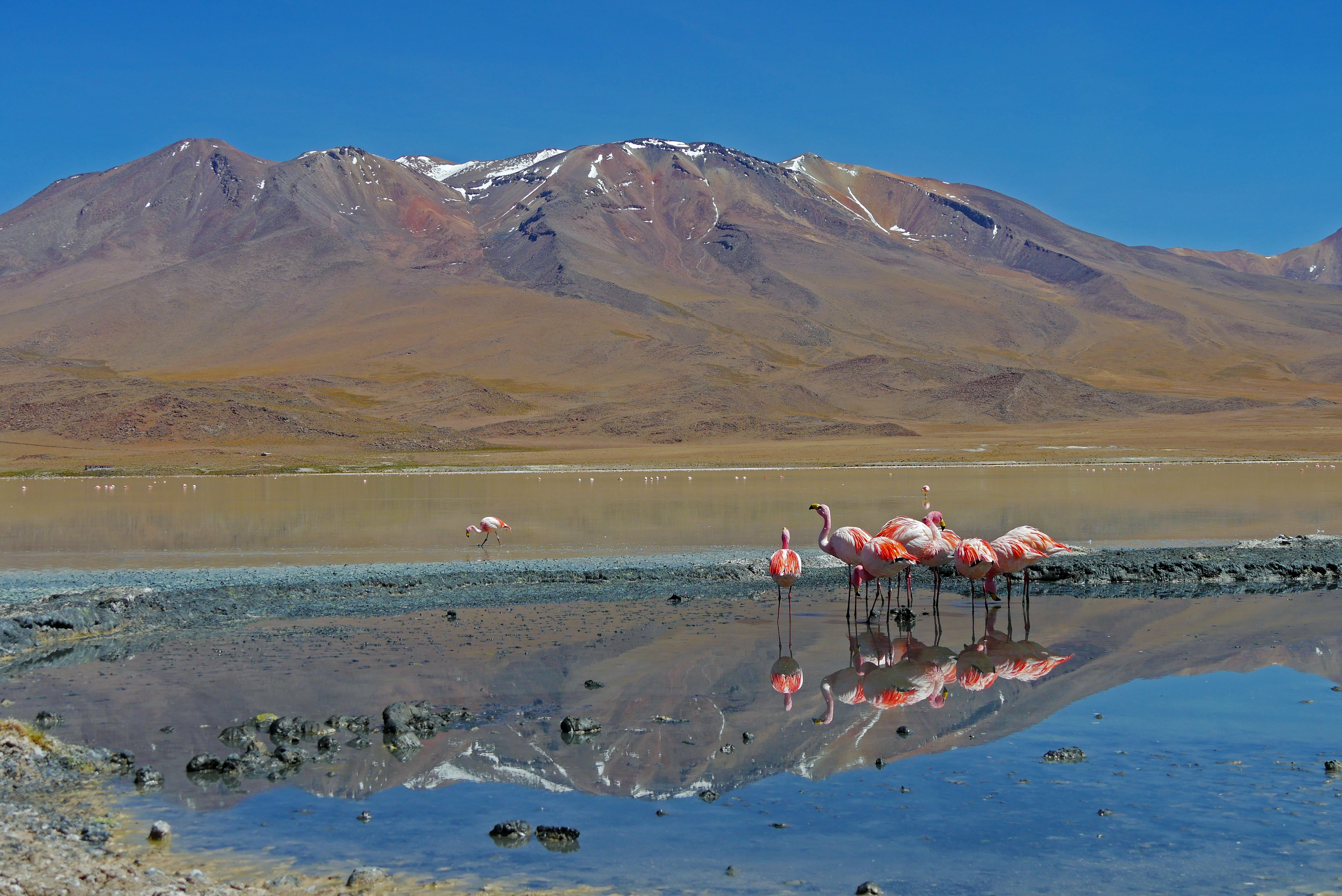 An den Grenzen des Altiplano - Expedition Süd-Lípez & Salar de Uyuni – Besteigung des Uturuncu (6008 m) - Tagesfoto