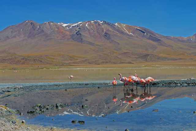 An den Grenzen des Altiplano