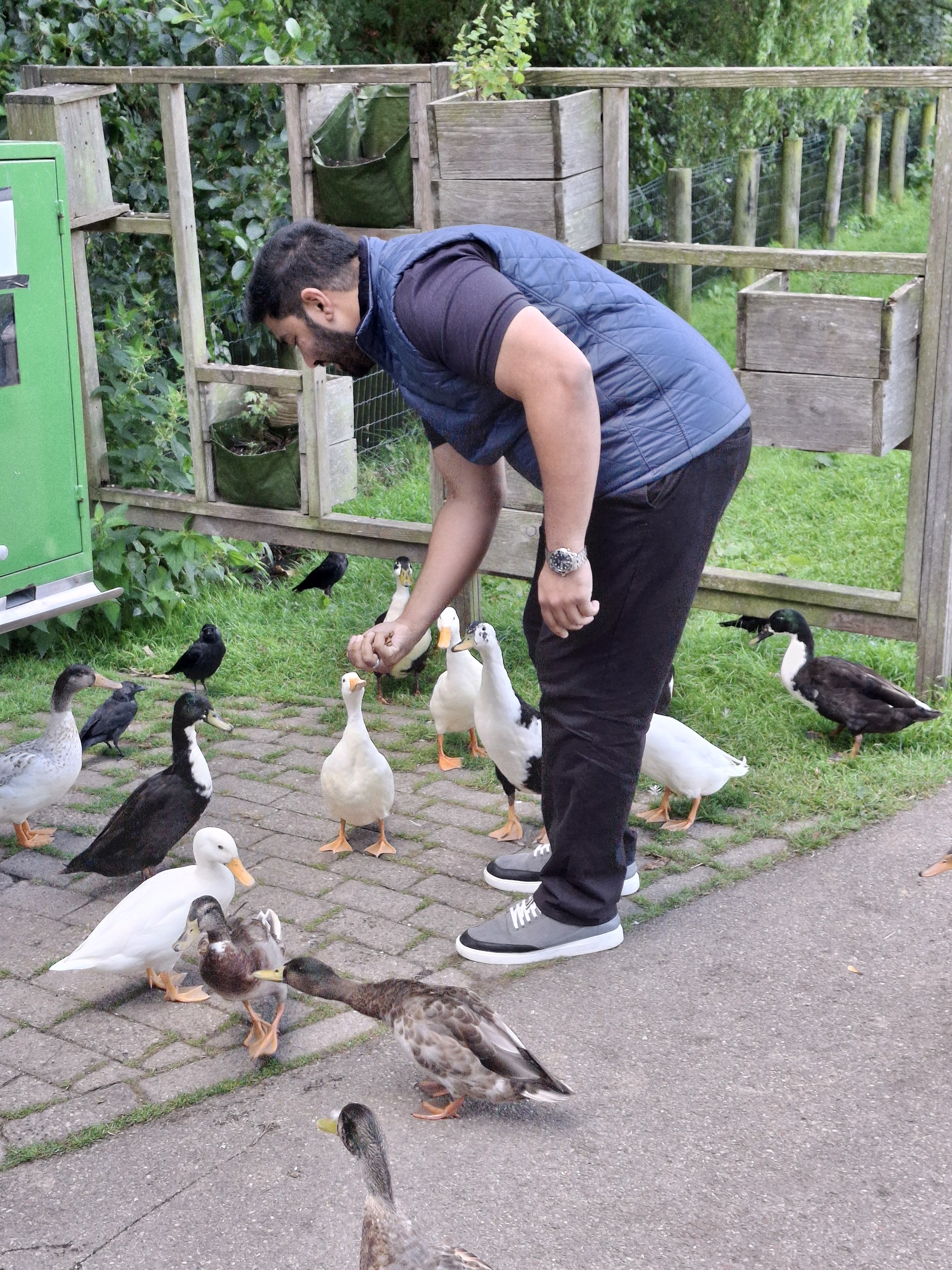 🌞 Deslumbrantes Férias Holandesas – Descubra a Holanda de Trem e Bonde - Ame Leiden através da exploração - Foto do dia