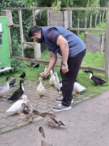 🌞 Deslumbrantes vacaciones holandesas: descubre los Países Bajos en tren y tranvía