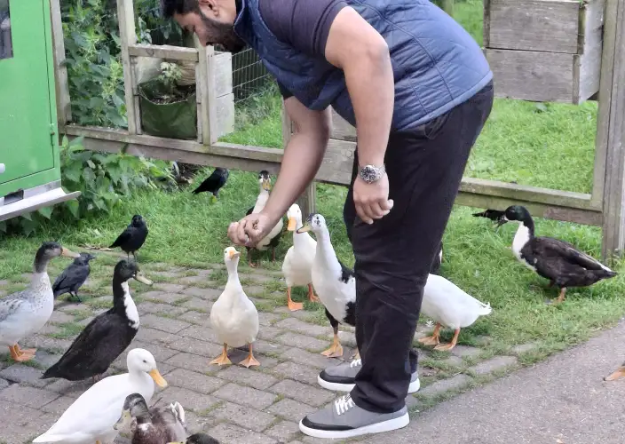 🌞 Dazzling Dutch Holiday – Discover the Netherlands by Train and Tram - Love Leiden through exploration - Photo of the day