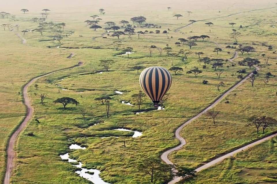 Remarkable Tanzania Safari Adventure - Serengeti National Park - Photo of the day