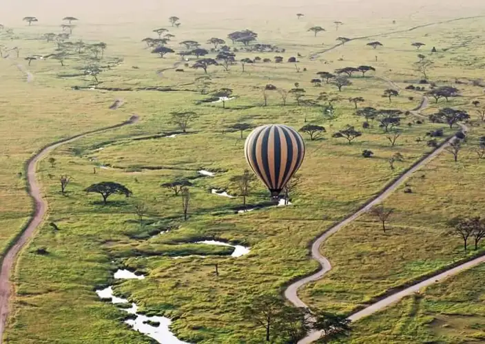 Remarkable Tanzania Safari Adventure - Serengeti National Park - Photo of the day