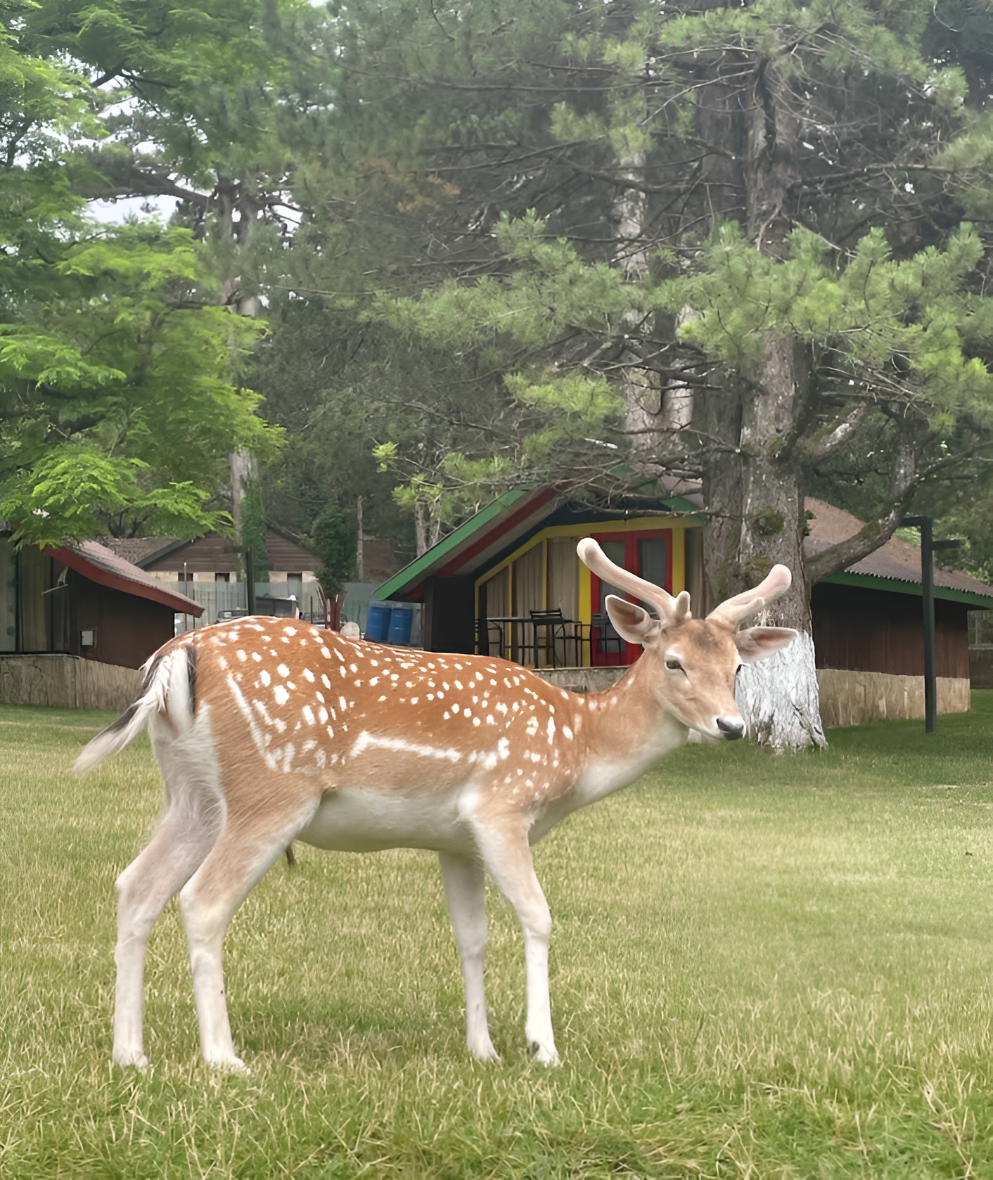 Solo Tour in Albania, Come Alone and Join Like-Minded People - Llogara Pass, Vlora Lungomare & Tirana Farewell - Photo of the day