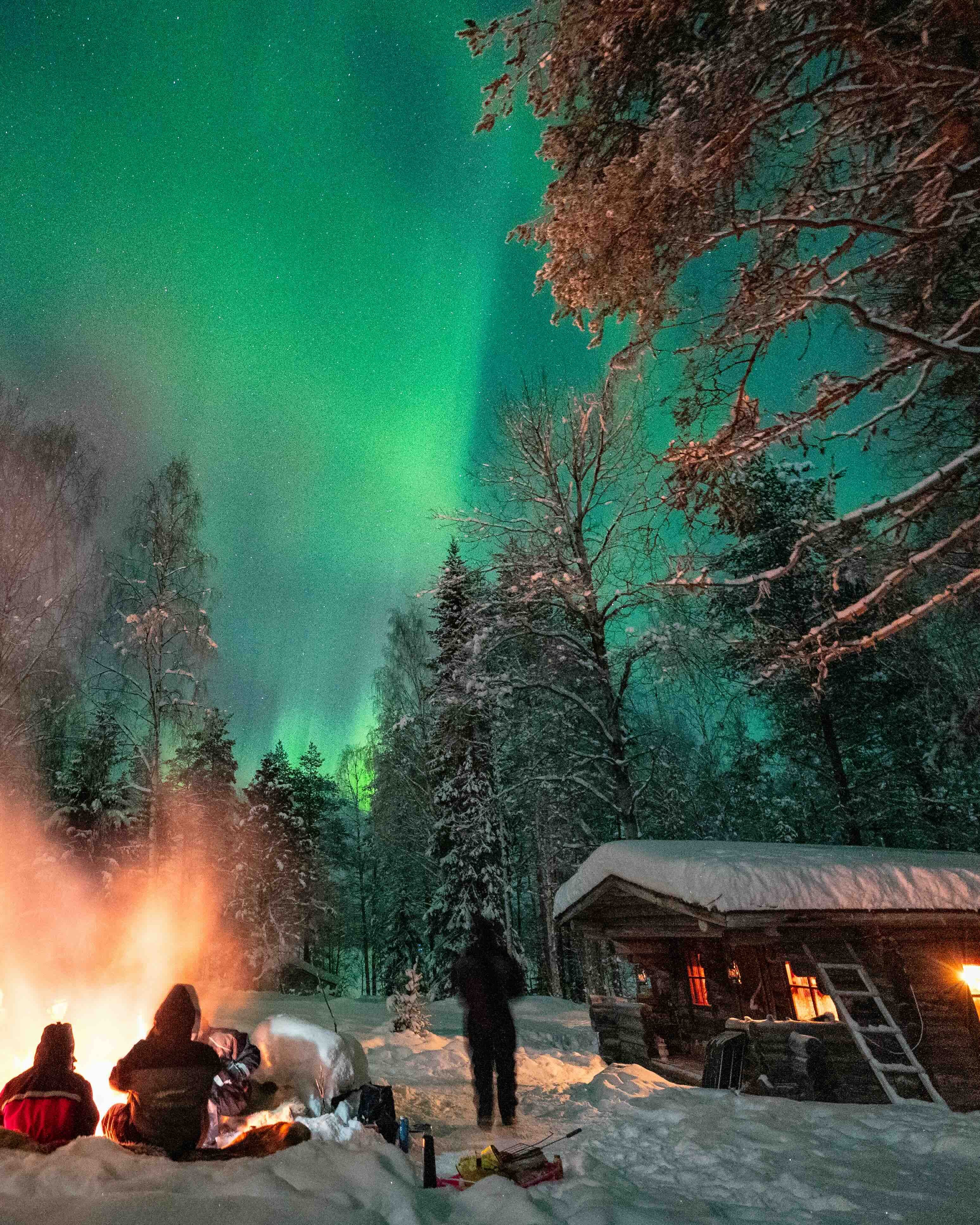 Retiro Ártico del Cartero - Abraza la magia de Laponia - Foto del día