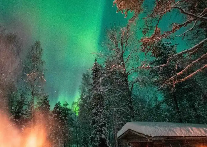 Retiro Ártico del Cartero - Abraza la magia de Laponia - Foto del día