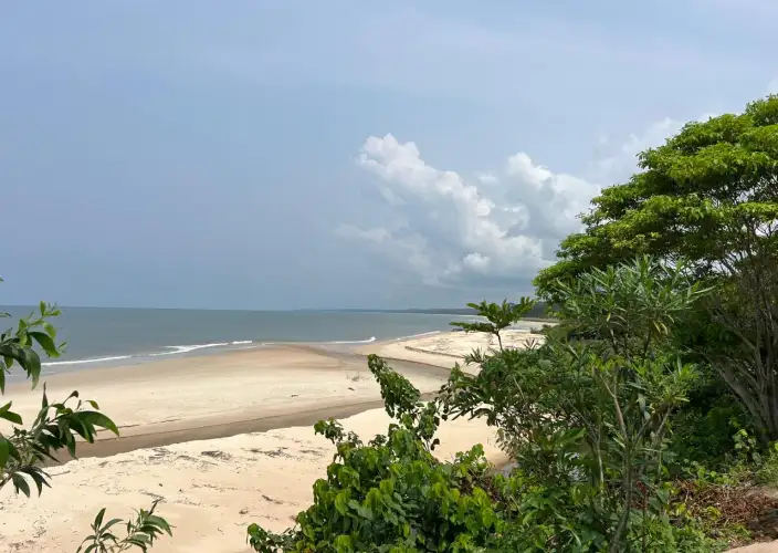 Ontdekking van Nyonié - Nyonié - Libreville - Foto van de dag