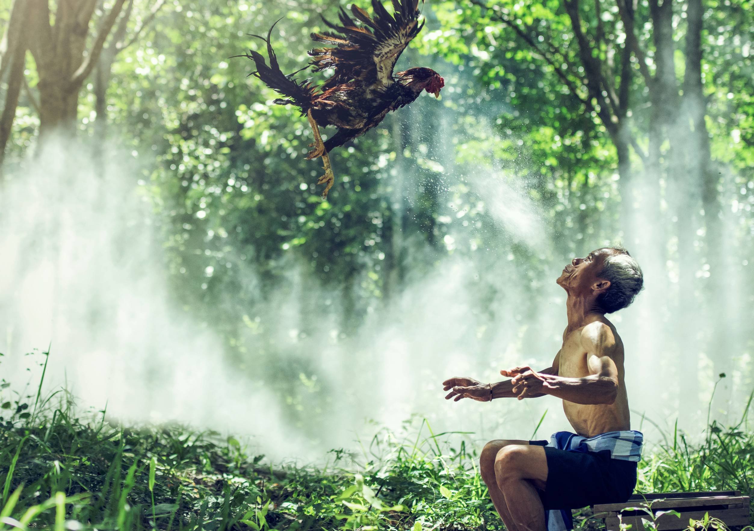 Découverte ludique du Vietnam en famille - Hue - Hoi An - Hue- Hoi An