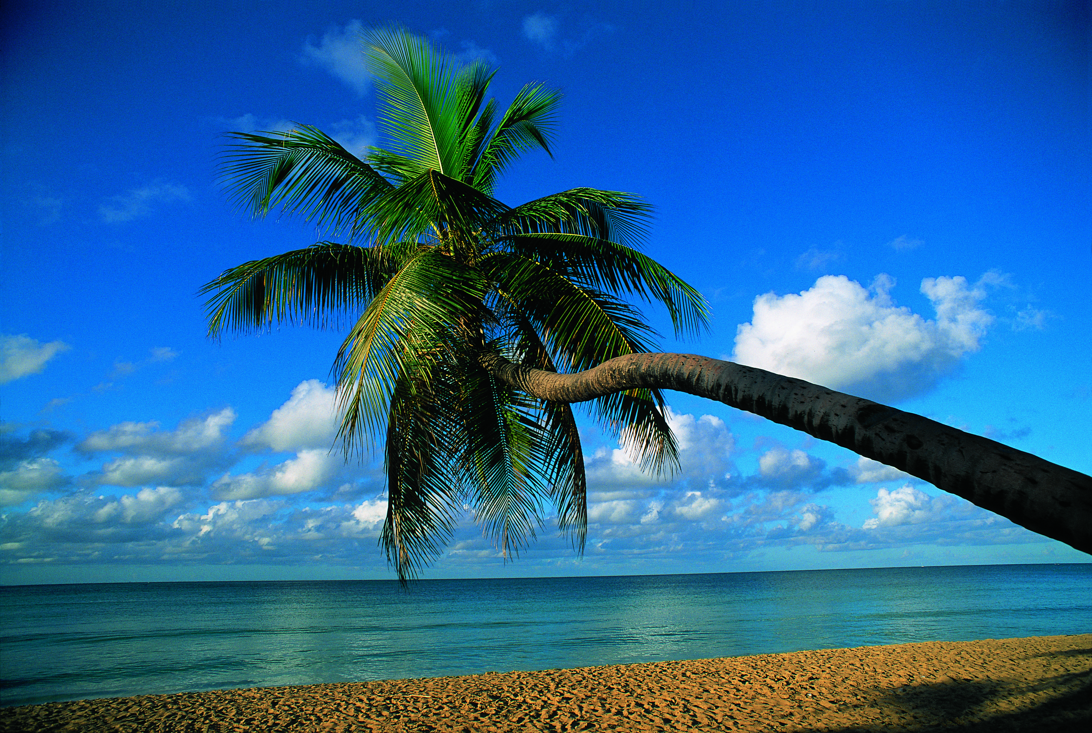 Escapade de charme devant la mer des Caraïbes - Les plages du sud (Martinique) - Les plages du sud  (Martinique)