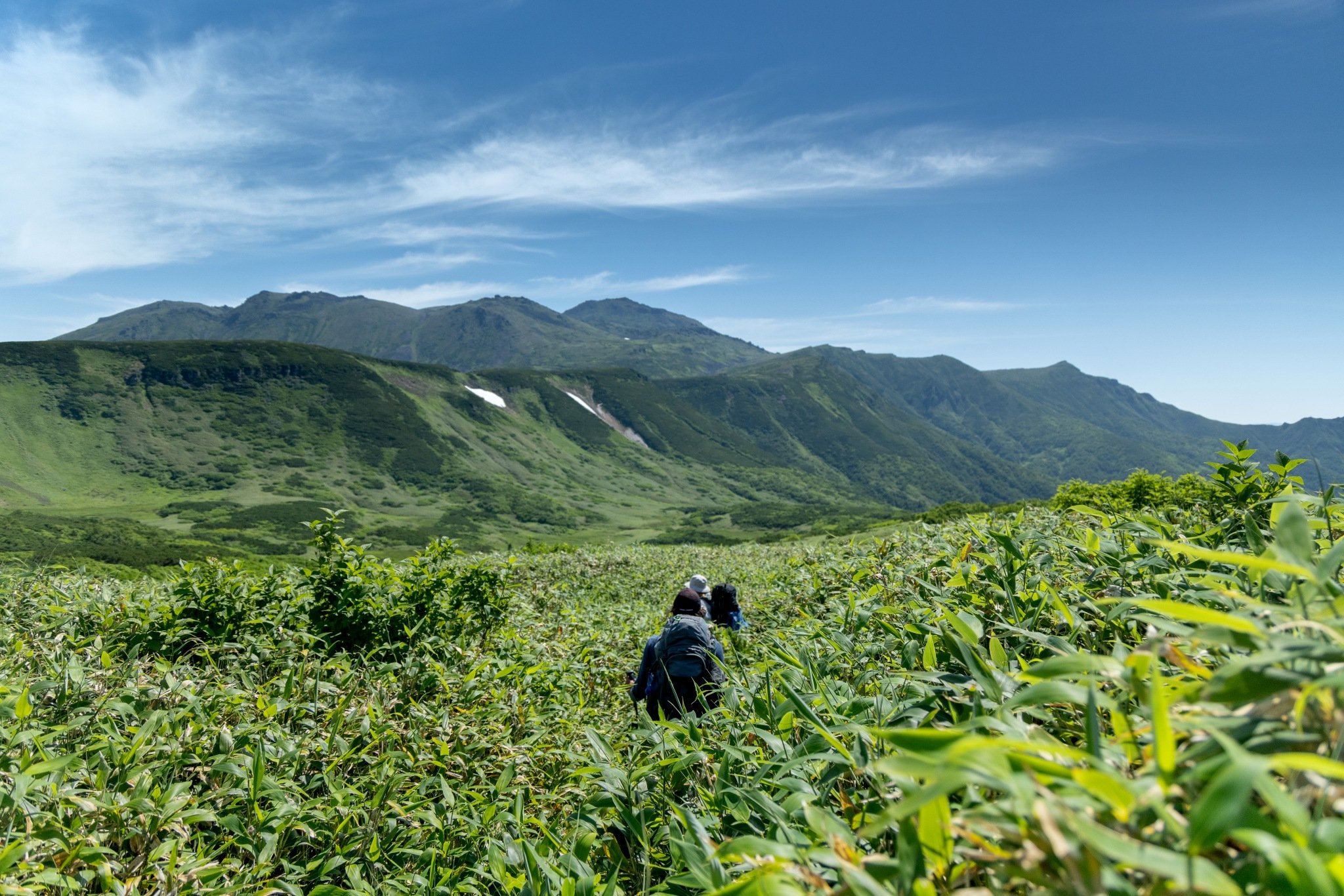 Japan, crossing the Daisetsuzan National Park and the wonders of Hokkaido - Trek - stage 4 - Photo of the day