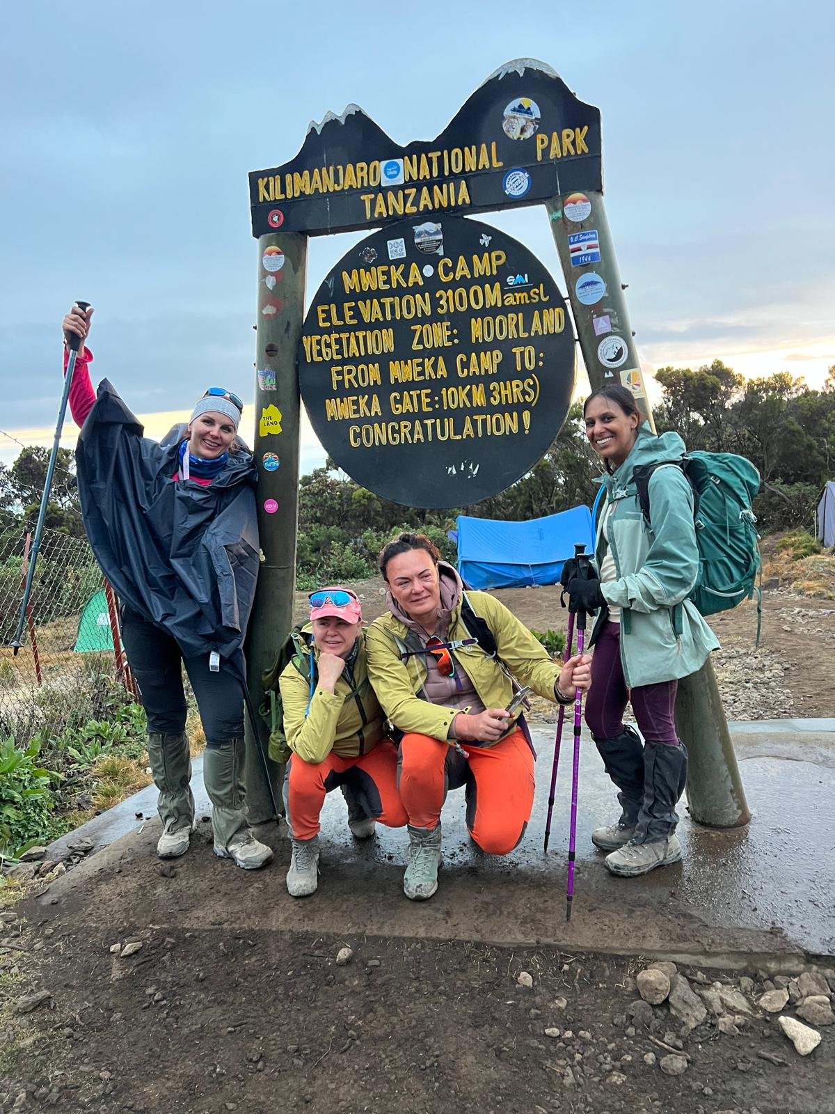 6-day Machame Route trek - Machame Camp à Shira 2 Camp - Machame Camp to Shira 2 Camp