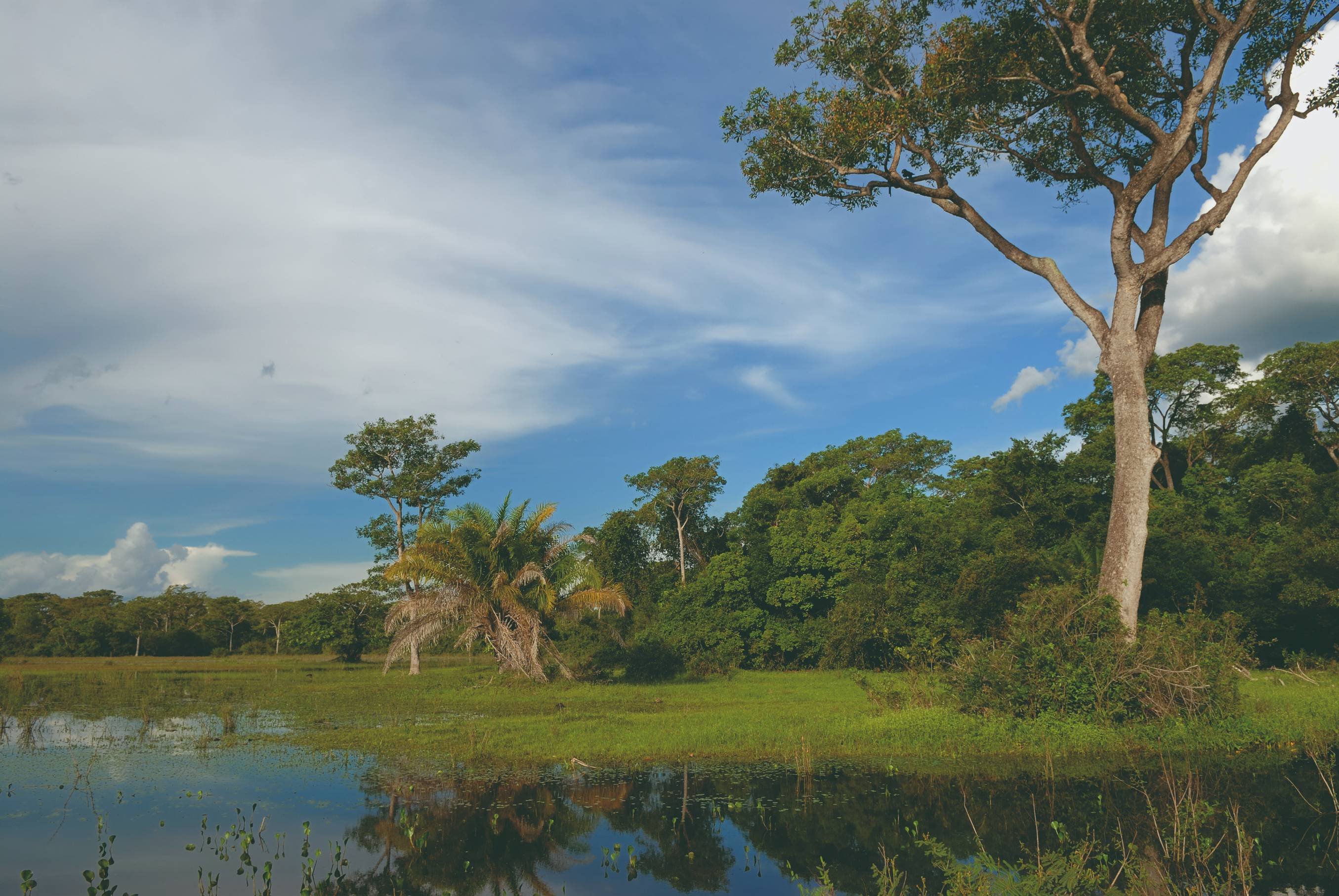 Brasil Naturaleza - Actividades en la fazenda - Activitées à la fazenda