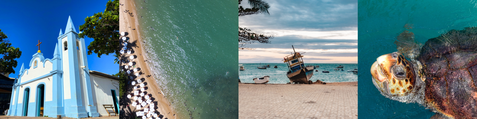 Experiência Brasileira: Rio, Iguaçu & Salvador - Excursão para Praia do Forte saindo de Salvador - Foto do dia