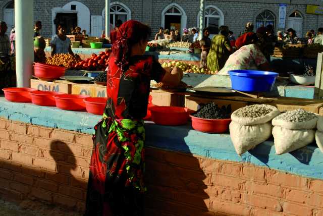 Circuito Uzbequistão