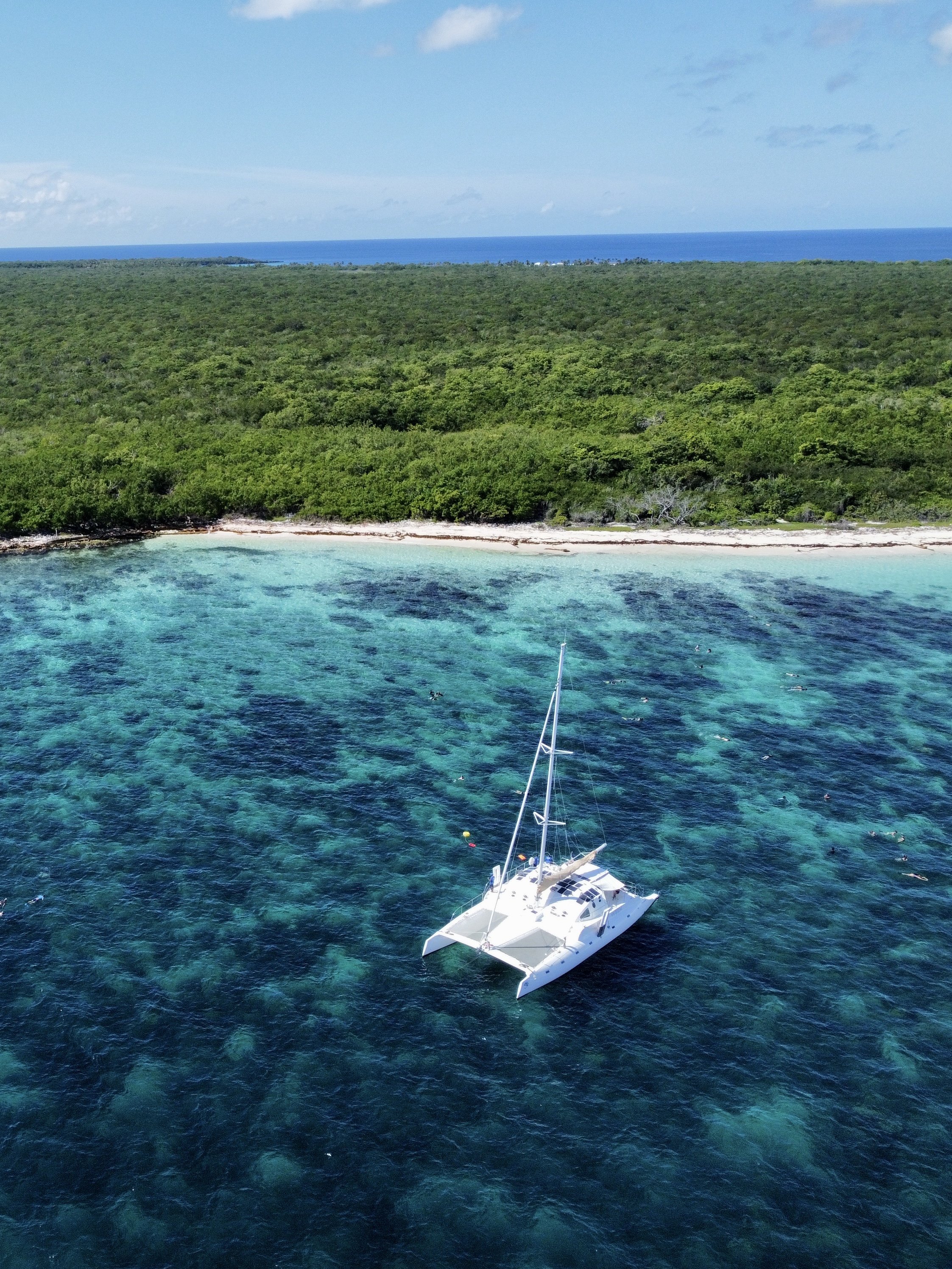 8 giorni a Bayahibe nella Repubblica Dominicana - Snorkeling all’Isola di Catalina in catamarano di lusso - Foto del giorno
