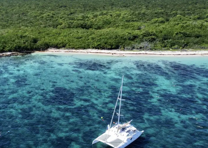 8 giorni a Bayahibe nella Repubblica Dominicana - Snorkeling all’Isola di Catalina in catamarano di lusso - Foto del giorno