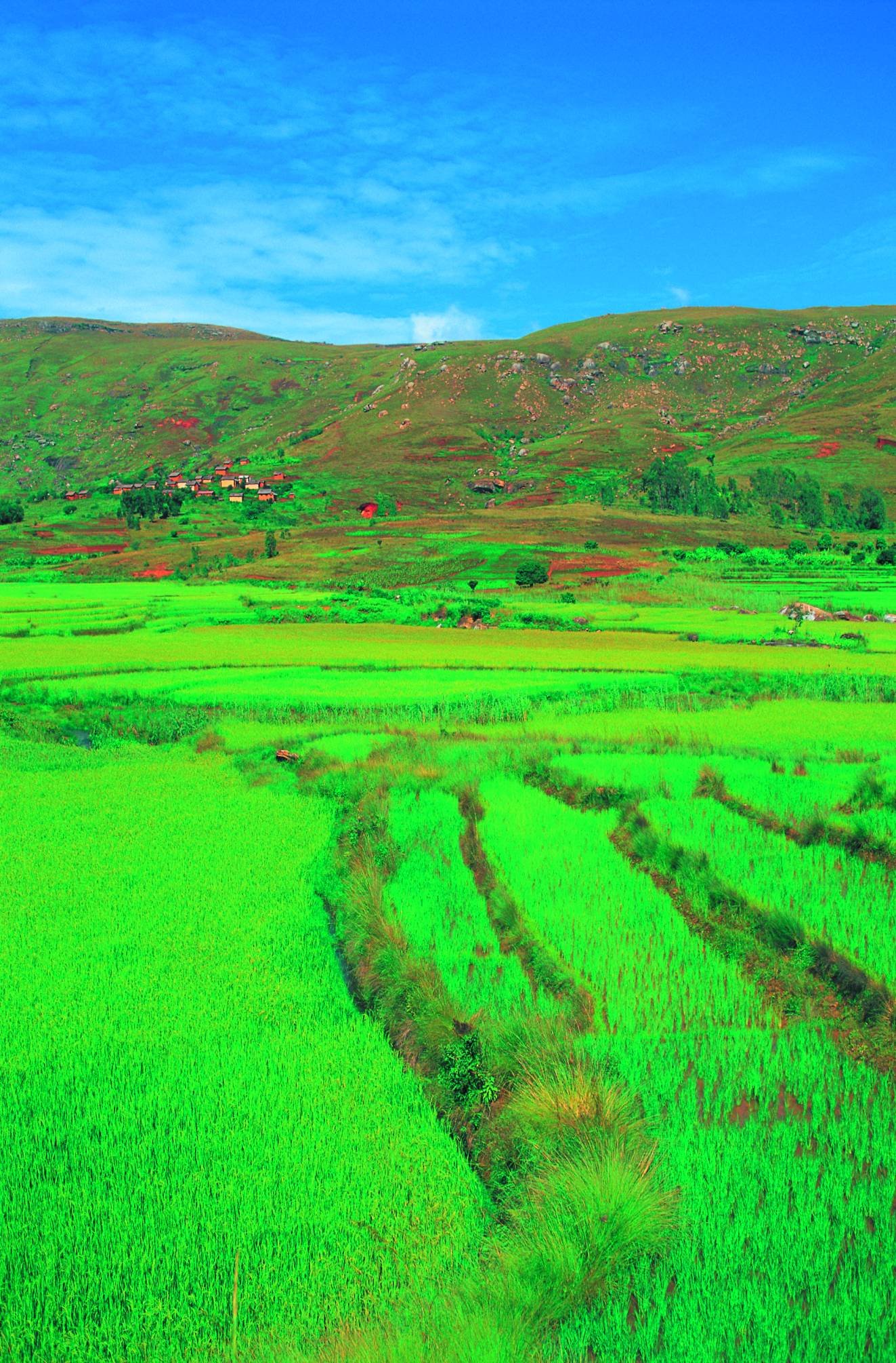 Le Grand Sud de Madagascar - Ranomafana Fianarantsoa - Ranomafana Fianarantsoa