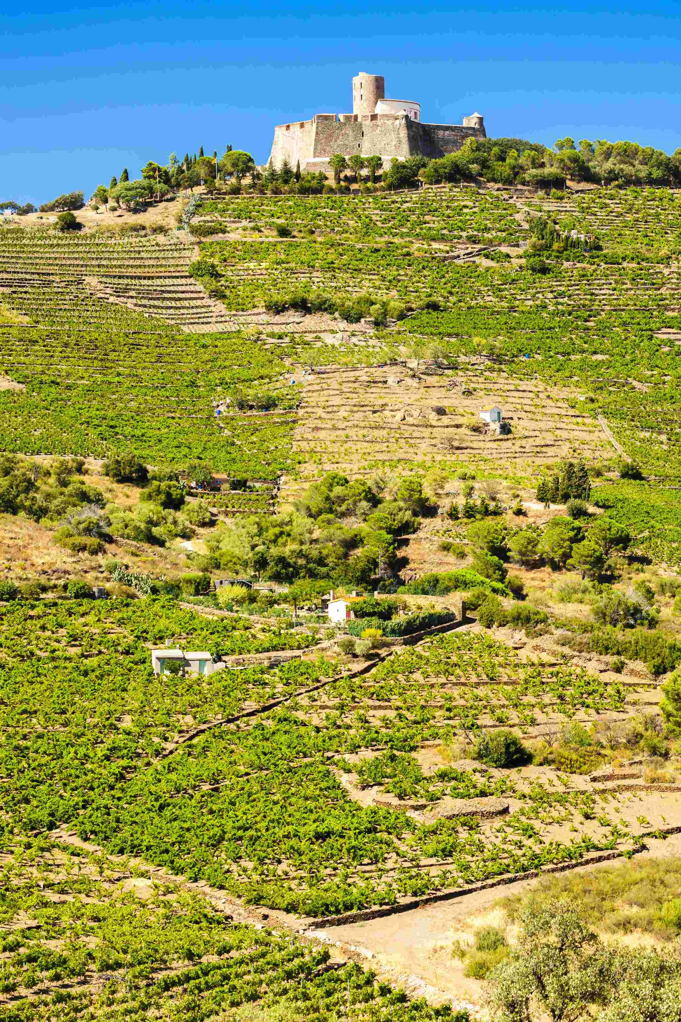 Collioure, Cadaqués... la côte catalane. - Collioure, sur les pas des impressionnistes - Collioure - Collioure, sur les pas des impressionnistes - Collioure