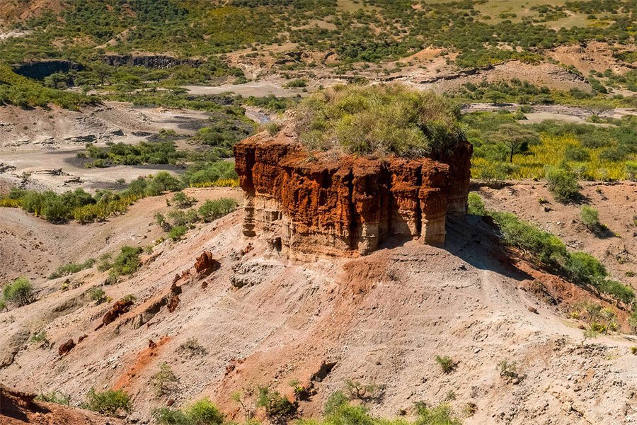 Safari Serengeti-Ndutu Migration - Oldupai-Schlucht - Ndutu - Gorge d'Oldupai Tanzanie
